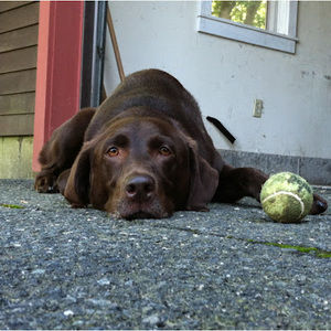 Meet your Posher, Mel